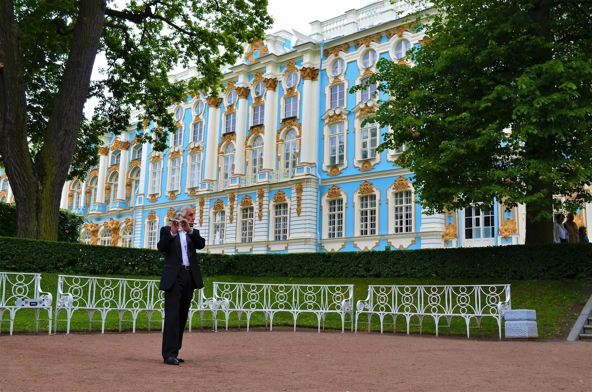 Екатерининский дворец в петергофе. Город пушкин спб. Легкоатлетический пробег. Пушкино ленинградская область достопримечательности. Пушкин).