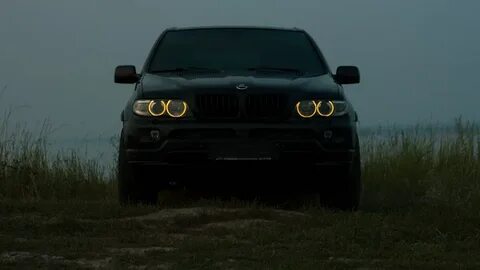 Скачай 53 8