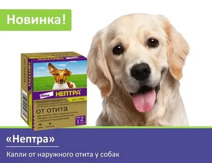 Нептра капли ушные