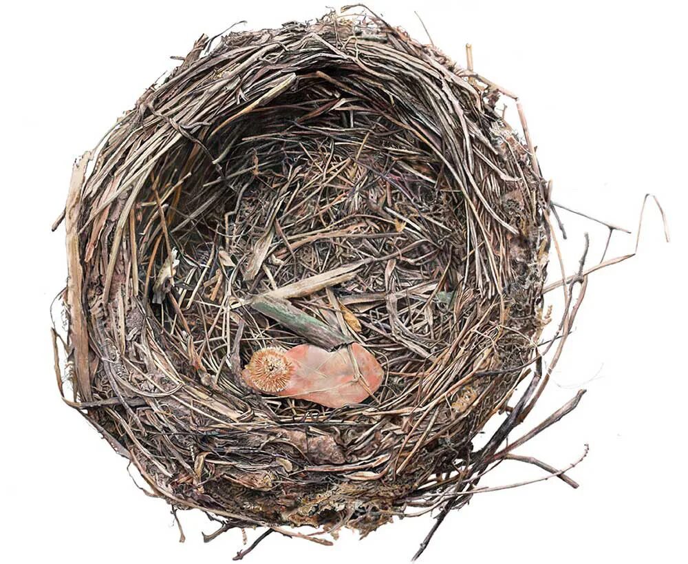 Empty nest