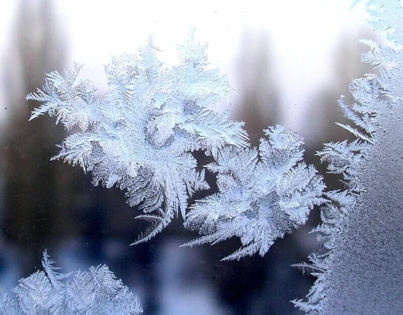 найти песню инея. синий синий иней текст. цвет синий иней. иней на окне. иней в мелитополе.