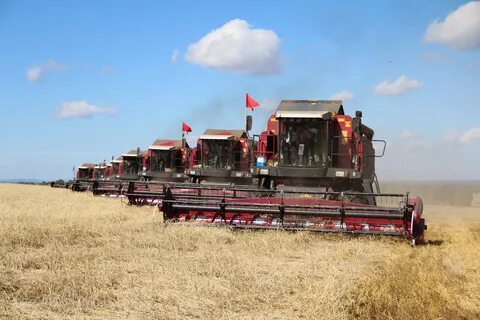 Уборка зерновых комбайном