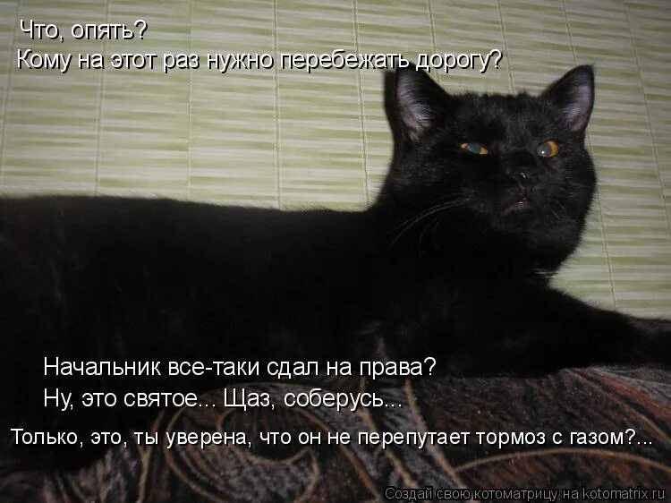 комикс я тебя не понимаю. тим фортрес солдат качок большим. тони старк мем доширак. тони старк мем. а у нас режим наедимся и лежим.