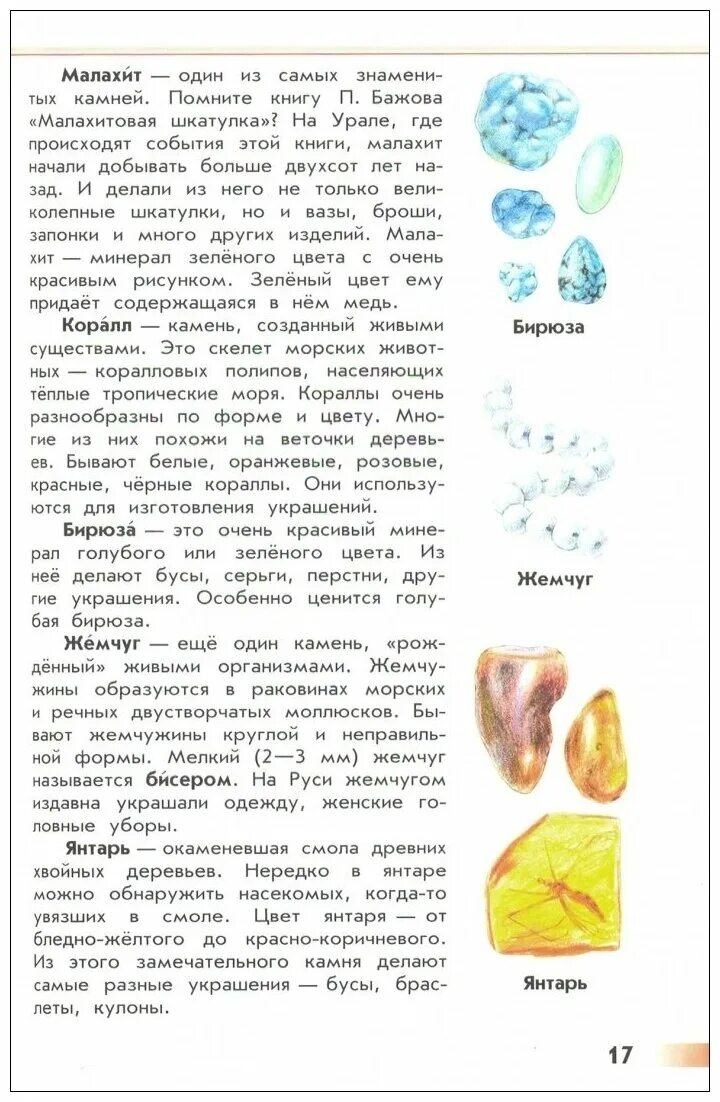Как сделать проект по атласу определителю Атлас определитель от земли до неба Комнатные растения моего дома. Атлас определ