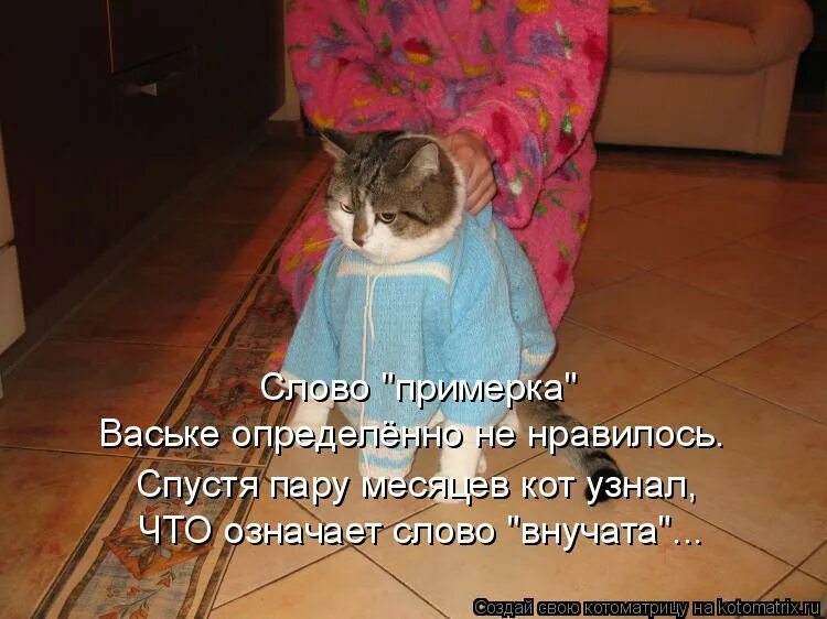 Котоматрица с текстом. Слово примерка. Кот на месяце. Пару месяцев спустя. Определенно понравилась