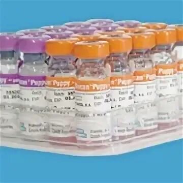 Биокан dhppi. Вакцина биокан dhppi+lr. Биокан dhppi-lr вакцина для собак. Биокан рл. Биокан паппи.