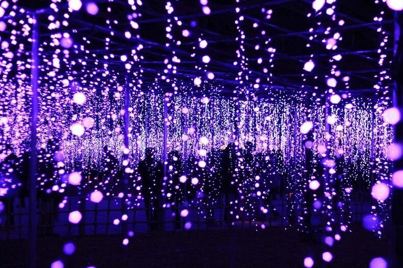 Лампа для гирлянды. Light show photo. Подсветка для деревьев уличная. Рождественские огни. Комната озарена янтарным светом картинка.