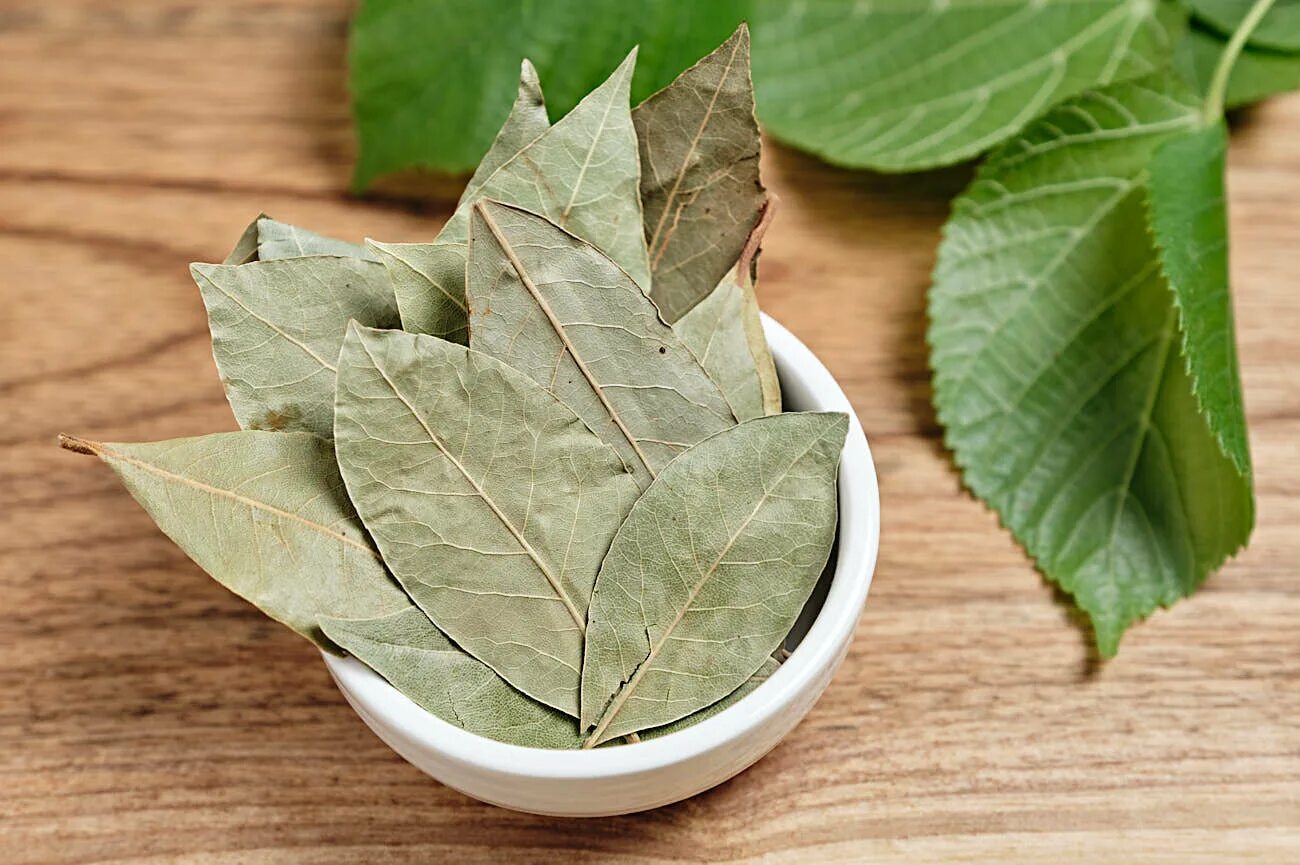 Лавровый лист на фоне корзинки. 5 добавляем лавровый лист и. Лавровый лист 40 гр. 5 добавляем лавровый лист и. Лавр благородный цветение.