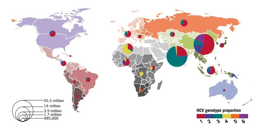 Генотип вируса это. Распространение генотипов вируса гепатита с. Распространенность вирусных гепатитов в мире. Распространенность гепатита в в мире. Распространенность гепатита а.