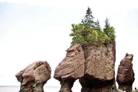 Разные скалы