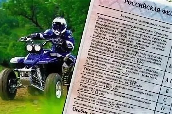 Квадроцикл какая категория в правах нужна 2024