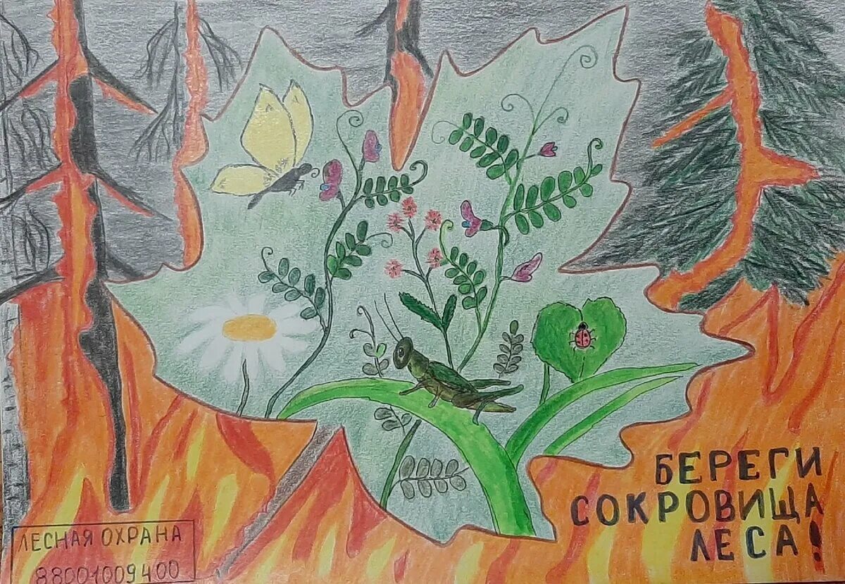 Сохраним природу леса