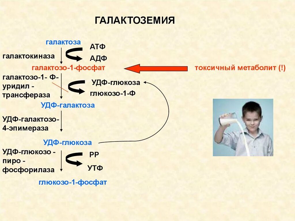 Кем работать после биохимии. Биохимия врач. роль биохимии в медицине. биохимия медицинская для студентов.