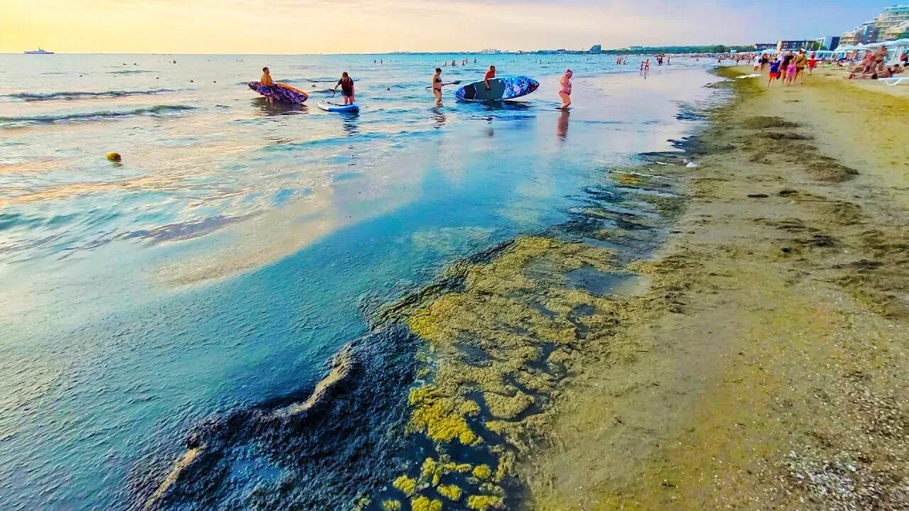 Водоросли в анапе. Пляж Джемете Анапа 2022. Море Анапа Джемете. Джемете море цветет.