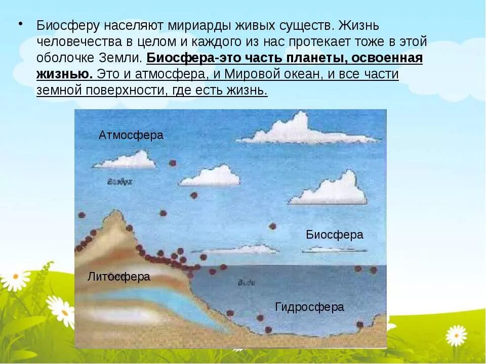 Планета земля оболочки земли Природоведение 5 класс. Биосфера. Биосфера Живая оболочка земли 5 класс. Что такое Биосфера 5 класс.