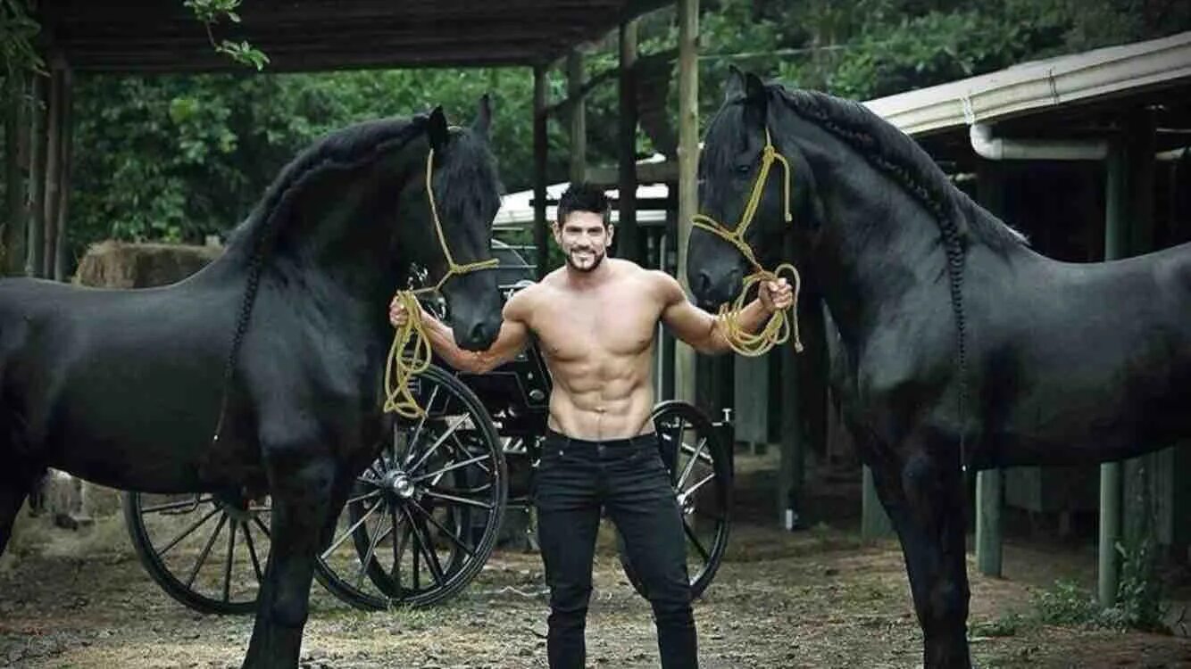 Мужчина лошадь и обезьяна. Мужчина на лошади. Мужская фотосессия с лошадью. Парни жеребцы. Два мужика на коне.