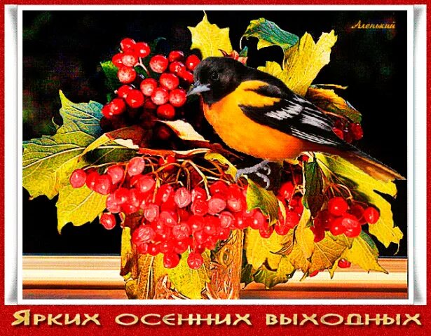 Приятного сентябрьского дня