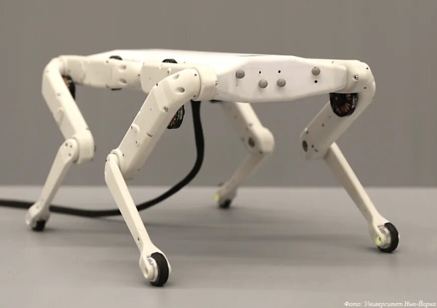 A d boston. Бостон дайнемикс робот. робот спот от бостон динамикс. робот собака boston dynamics. робот пес бостон динамикс.