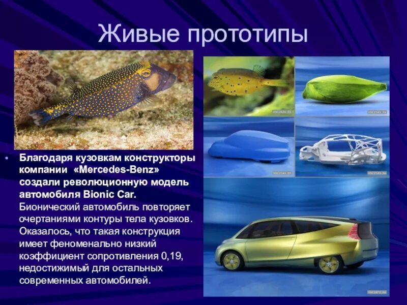 Создал искусственную систему живой природы