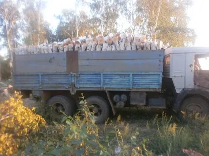 Погода в аниховке