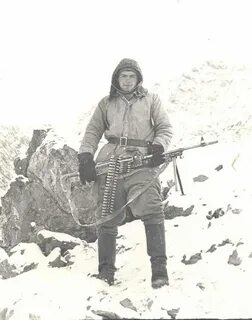 29 января 1988