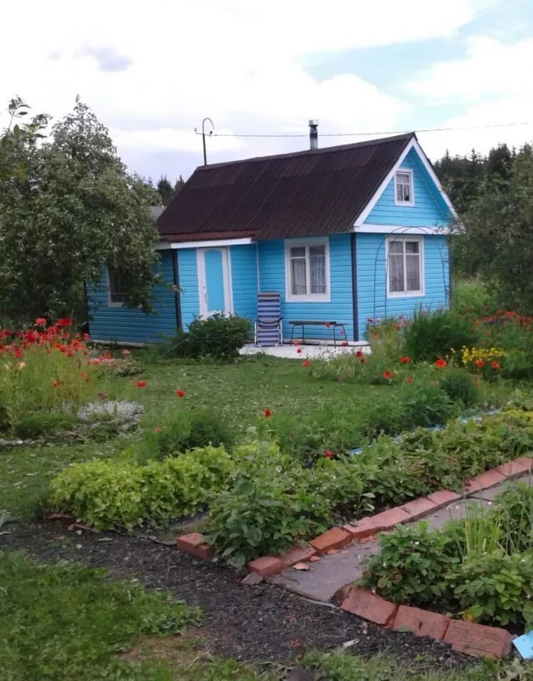 Дачи волхов. Снт южное. Деревня пупышево ленинградской области. Ленинградская область снт пупышево. Посадников остров киришский район.