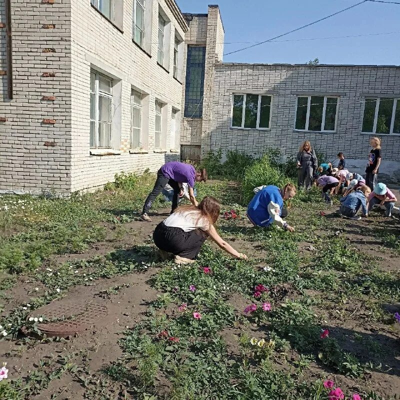 лесниковский лицей имени тюнина багрецова. лицей имени тюнина. лесниковский лицей имени тюнина эмблема. лесниковский лицей курганская область туалеты. тюнина.