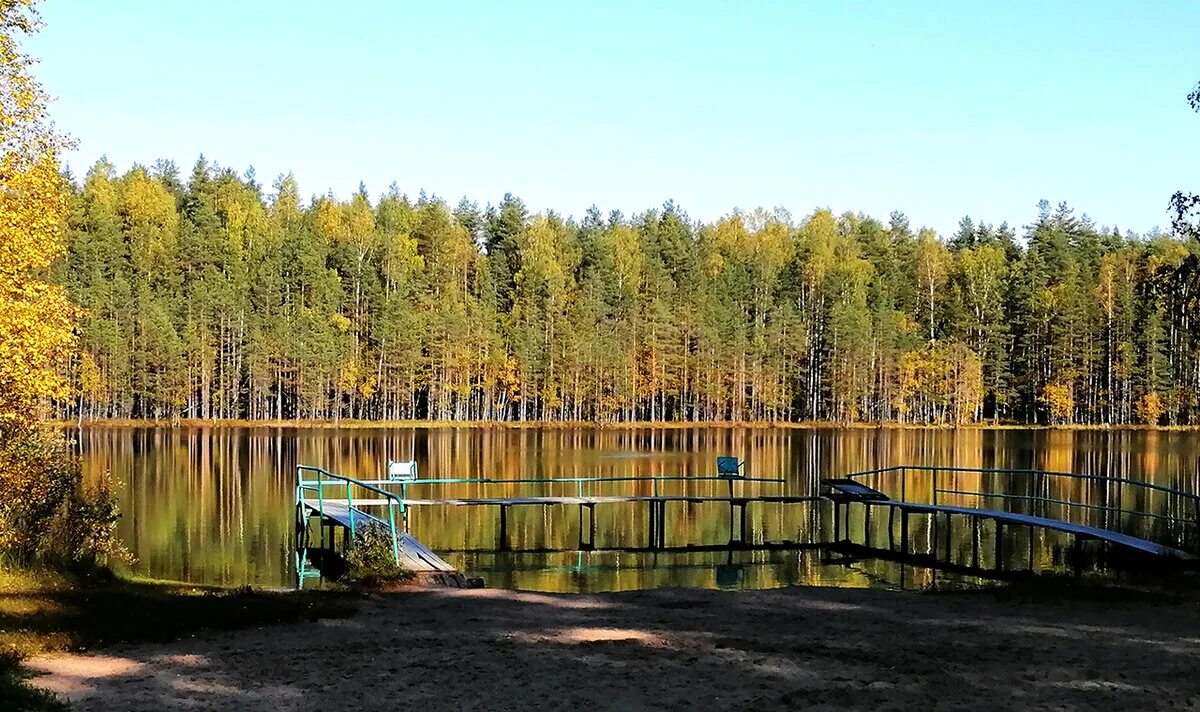 Погода приозерск ленинградская на неделю. Озеро Лебяжье Ленинградская область Выборгский район. Озеро Лебяжье Ленинградская. Озеро Лебяжье Ленинградская область Приозерский. Большое Лебяжье озеро Ленинградская область.