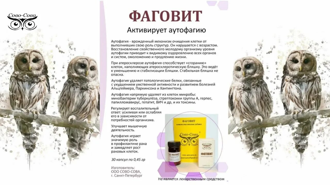 Сово сова отзывы. Компания сово-сова препараты. сово сова компания. продукция компании филин. петр анатольевич солдатенков сово сова.