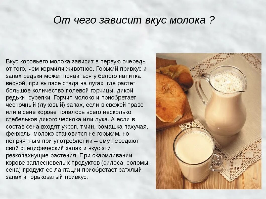 Почему молоко появляется. Коровье молоко. молоко домашнее. вкус и запах молока. почему молоко горчит.