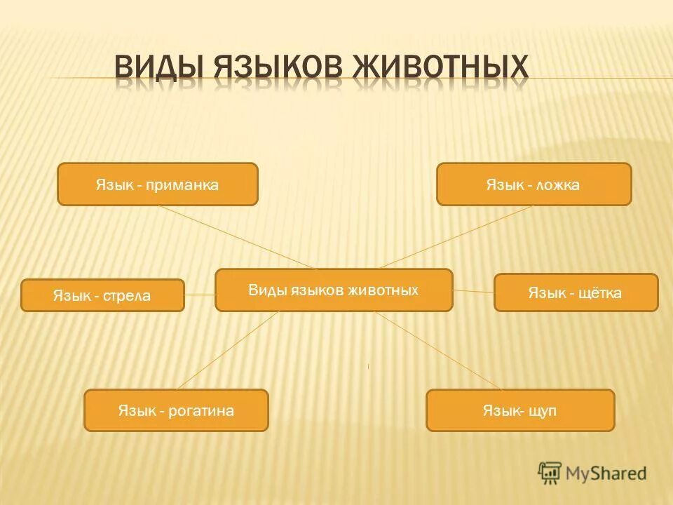 Естественные языки существуют. Виды языков. Виды языка животных. Язык животных презентация. Язык виды языков.