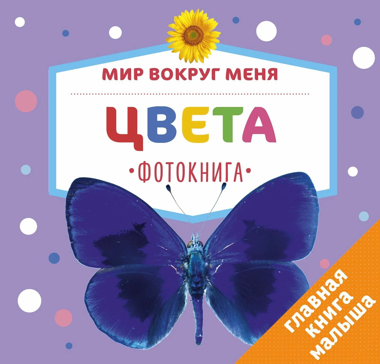 Раннее развитие. Надпись природа. Мир вокруг нас для детей. Проект мир вокруг нас. Книга цвета для детей.