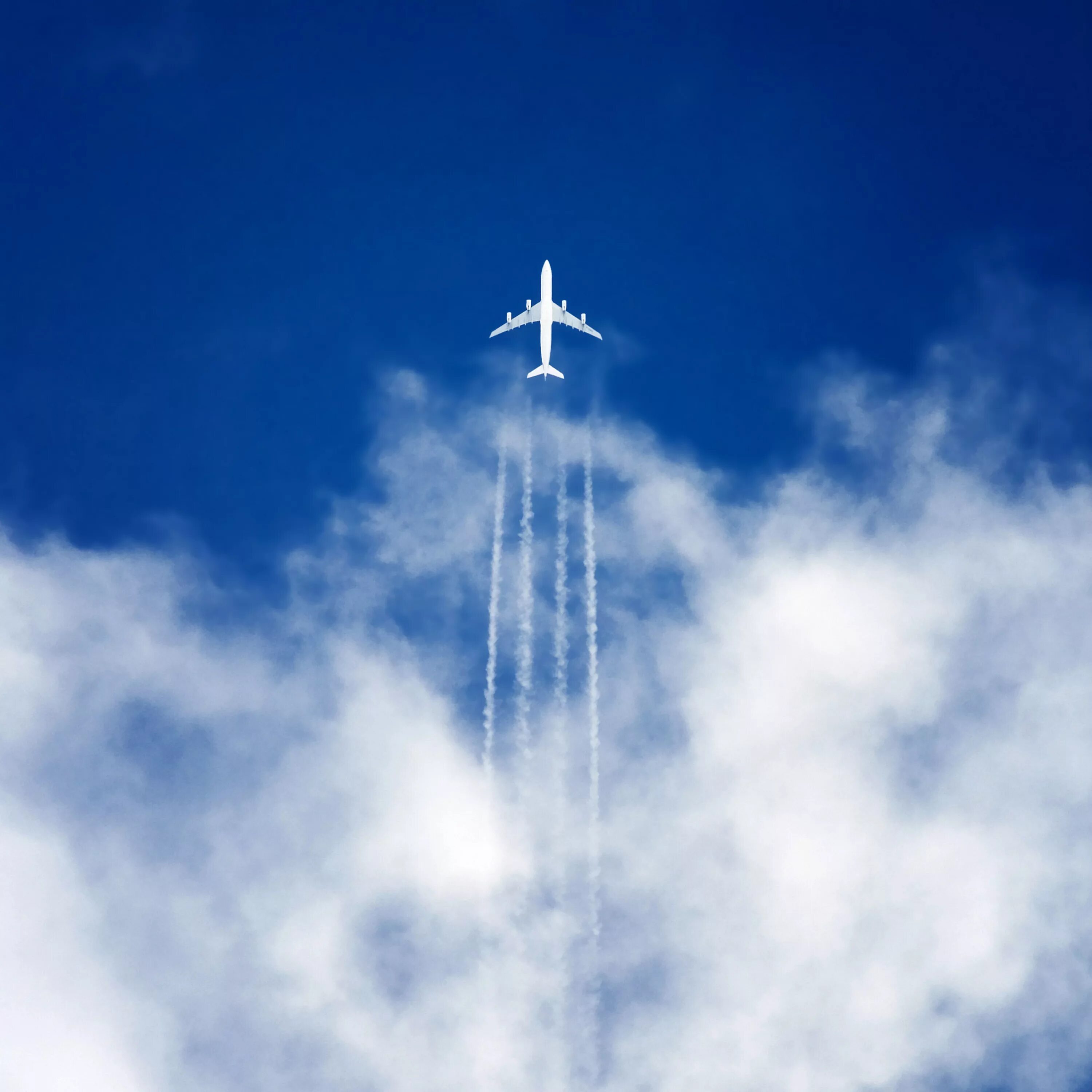 Самолет в небе. Cfvjktn DF yt,t. Самолет в голубом небе. Самолет на фоне неба.