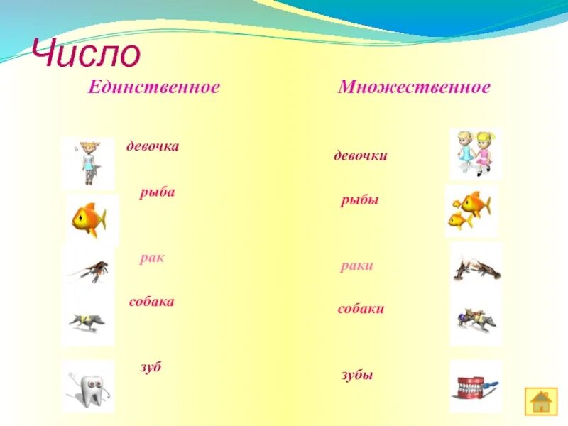 Единственное и множественное число. Единственное и множественное число имен существительных. Единственное число и множественное число. Существительные во множественном числе в русском языке.