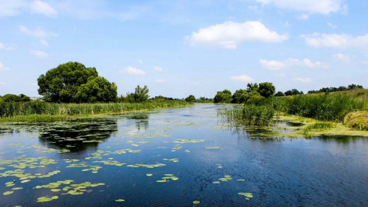 Курские водоемы