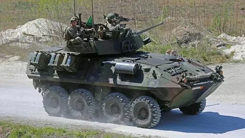 Lav 25