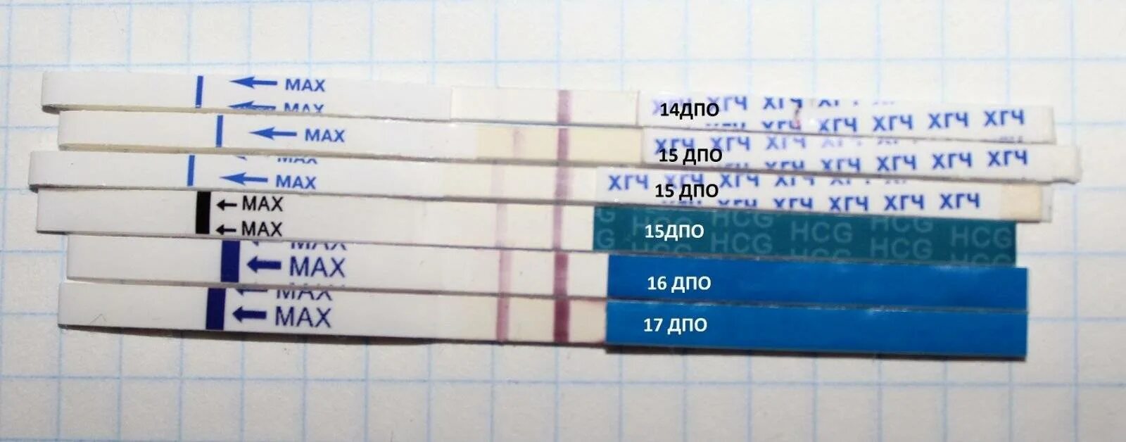Овуляция после укола хгч. ХГЧ В моче по дням. ХГЧ по дням после овуляции в моче. ХГЧ по ДПО таблица в моче. Уровень ХГЧ по дням ДПО таблица.