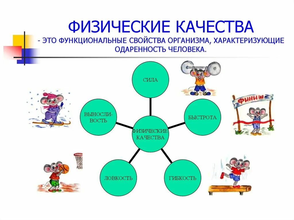 Определите физические качества человека. Пять основных физических качеств человека. Основные физические качества человека 5 качеств. Физические качества человека таблица. Физические качества это в физкультуре.