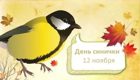 День синички 12 ноября