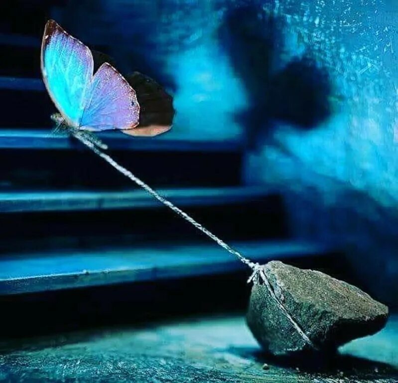 Мысли мешают жить. Бабочка тянет камень. Бабочка душа. Бабочка привязанная к камню. Бабочка с камнем на веревке.