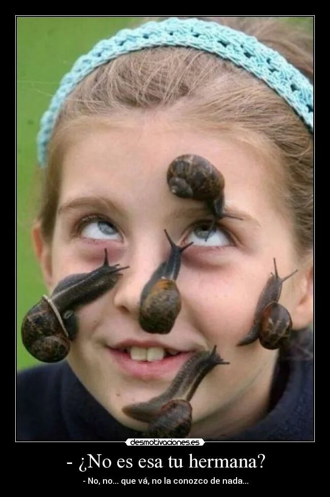 козявка дерзко