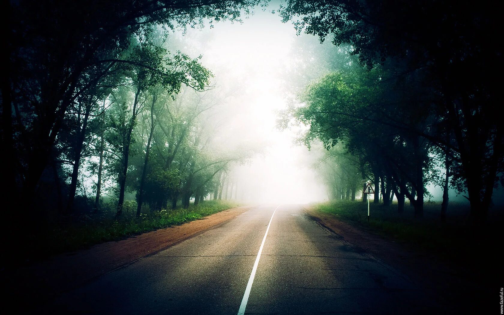 Пейзаж с дорогой. Прямая дорога. Дорога в лесу. Чб фото дорога. Road of me.