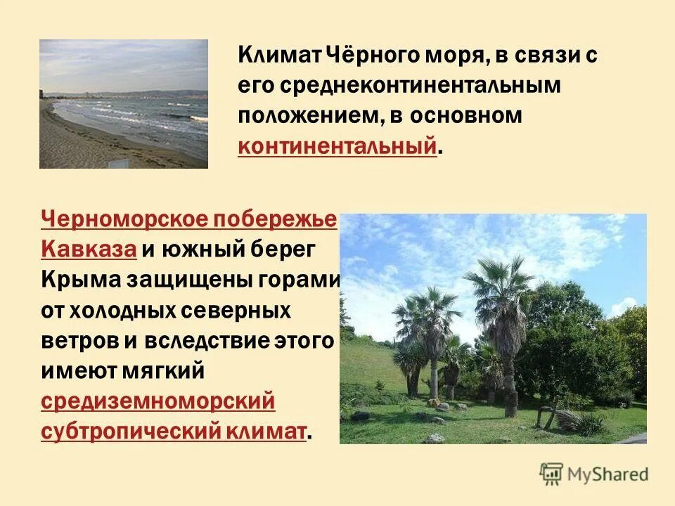 климатические особенности черного моря. горы и море субтропиков россии. черноморский климат. средний крым. климат субтропиков черноморского побережья.