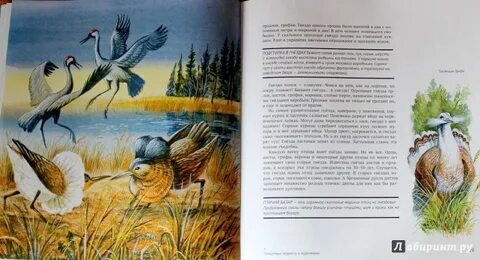 Сладков 9 учебник