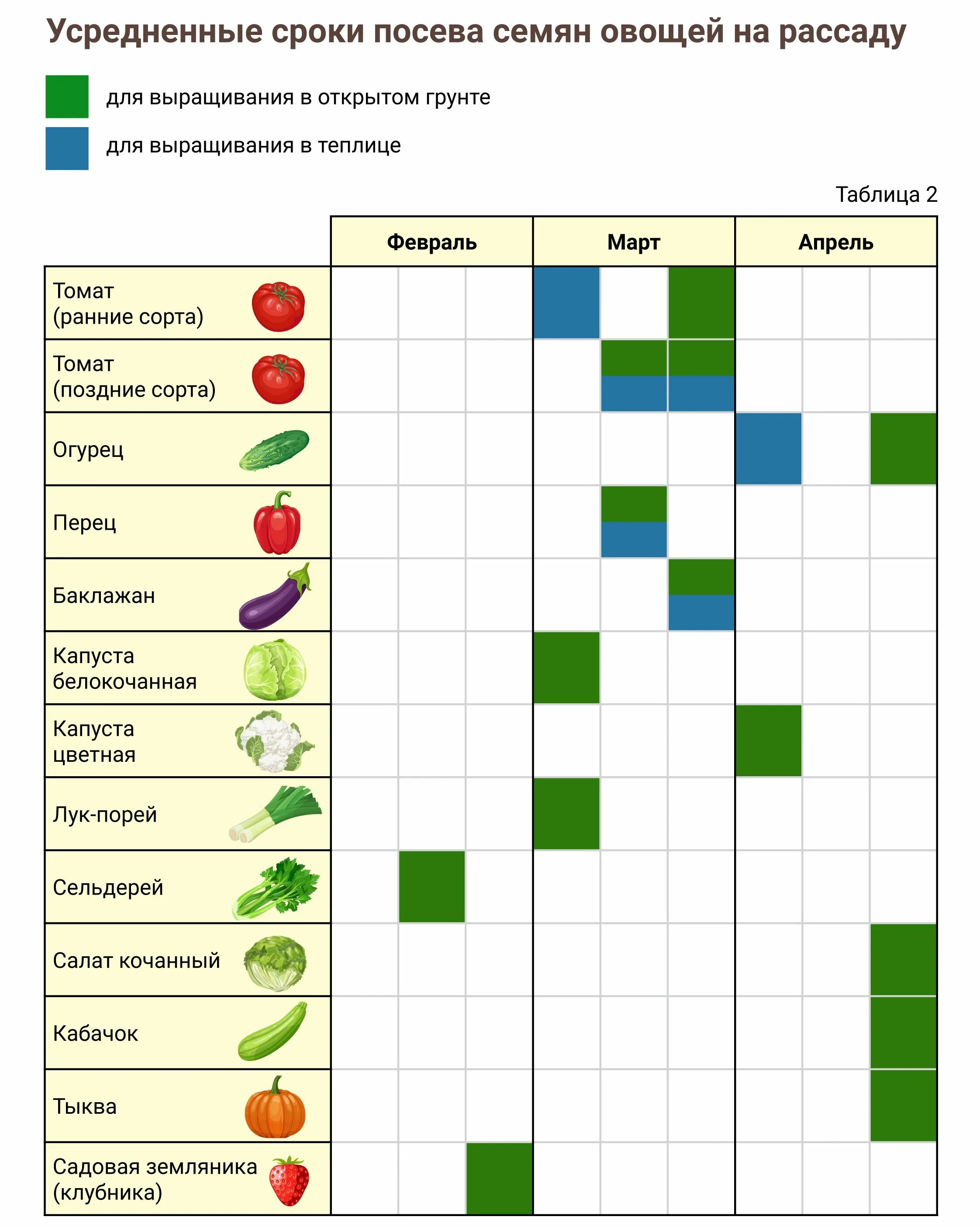 Семена овощей на 2024. Сроки посева семян на рассаду. Сроки посадки овощей семенами. Сроки посева овощей на рассаду. Сроки посева овощных семян на рассаду.