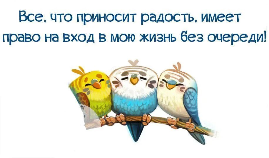 Шутки про радость жизни. Статусы про радость в жизни. Что приносит радость. Цитаты о радости смешные. Что приносит людям работа