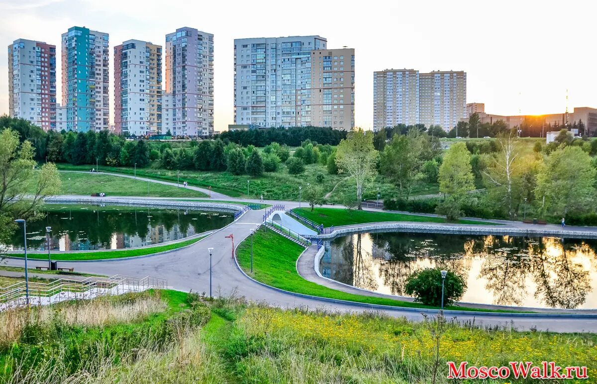 Олимпийский проспект олимпийская деревня. Парк олимпийской деревни Мичуринский проспект. Тропарево Никулино Олимпийская деревня. Парк Тропарево-Никулино. Парк олимпийской деревни в Тропарево-Никулино.