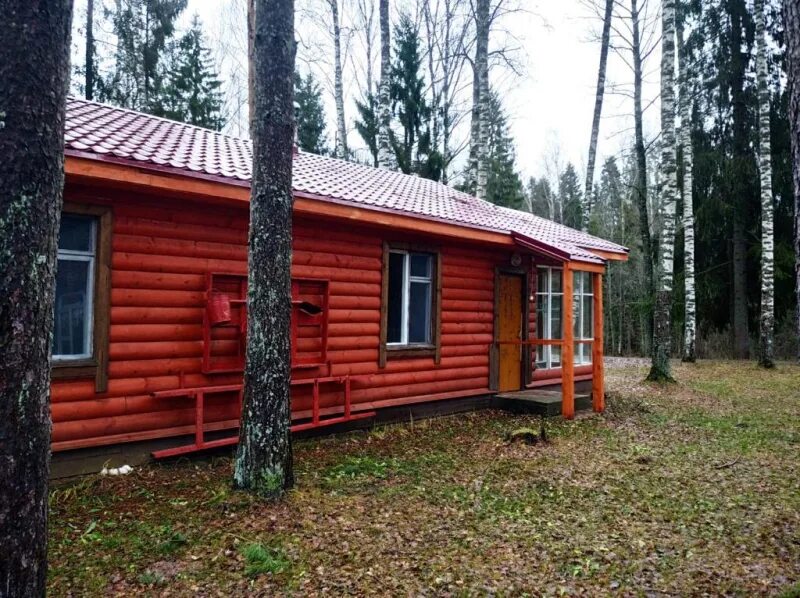 Лагеря в новгородской области. Былина лагерь Великий Новгород. Лагерь Былина Новгородская область. Лагерь Былина Новгородская. Детский лагерь Былина Великий Новгород.