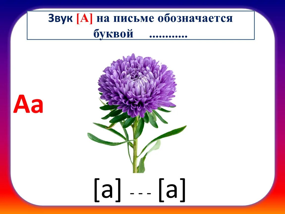 Звук на письме означается. На письме звуки обозначаются буквами. Звук ж на письме как обозначается. Звук на письме обозначается закончи предложение.