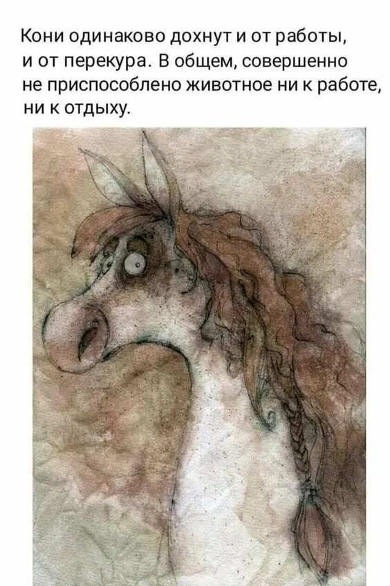 Ни на работе ни дома я. От работы дохнут кони. конь на работе. от работы кони. жалко лошадей.